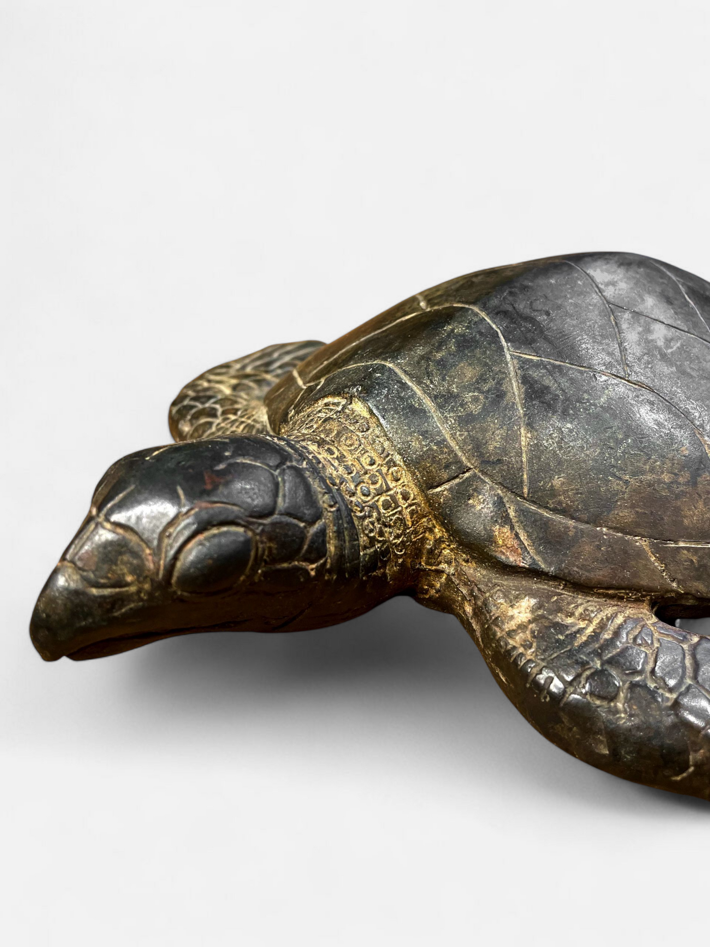 TURTLE ANTIQUE BROWN