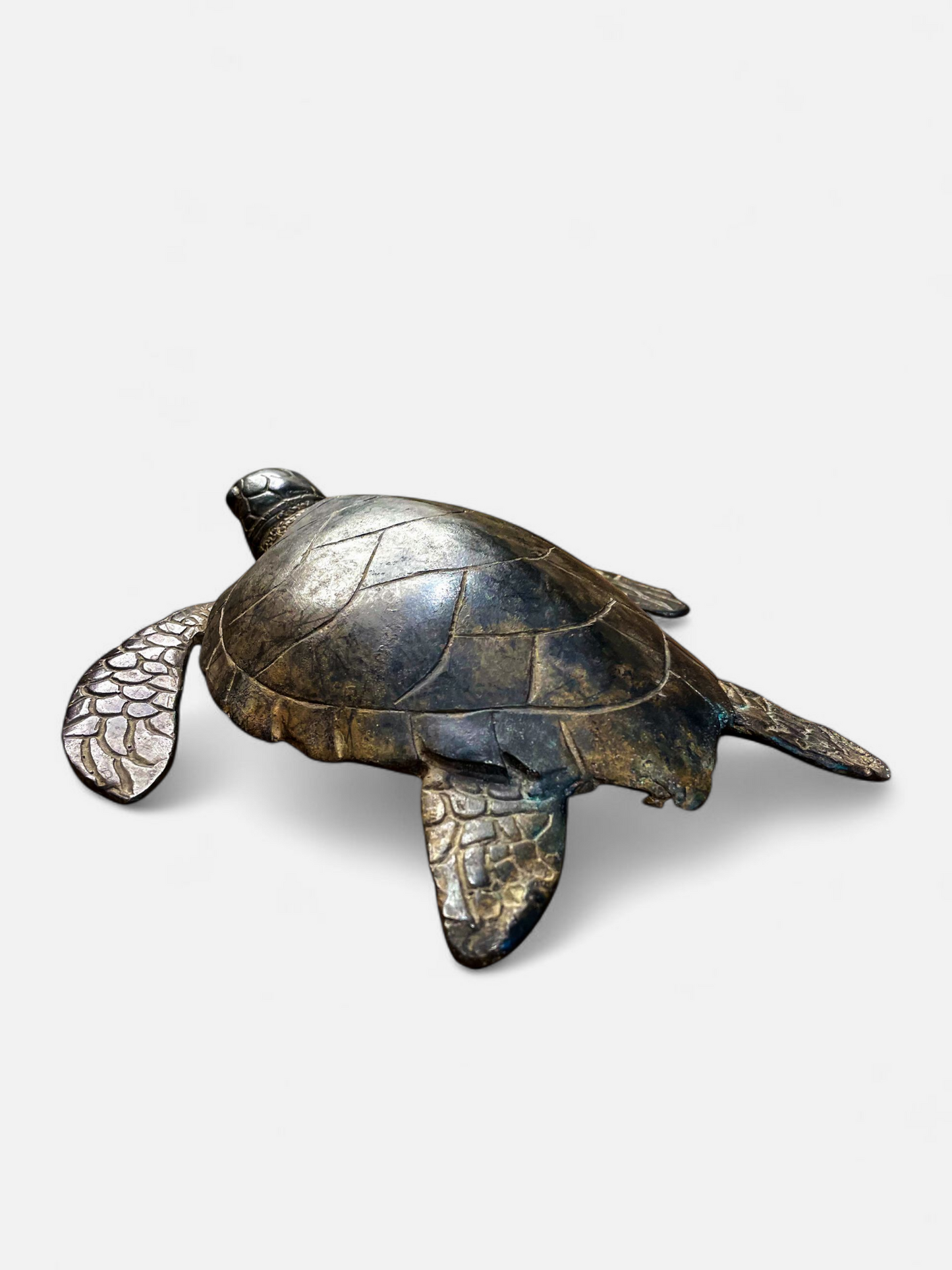TURTLE ANTIQUE BROWN
