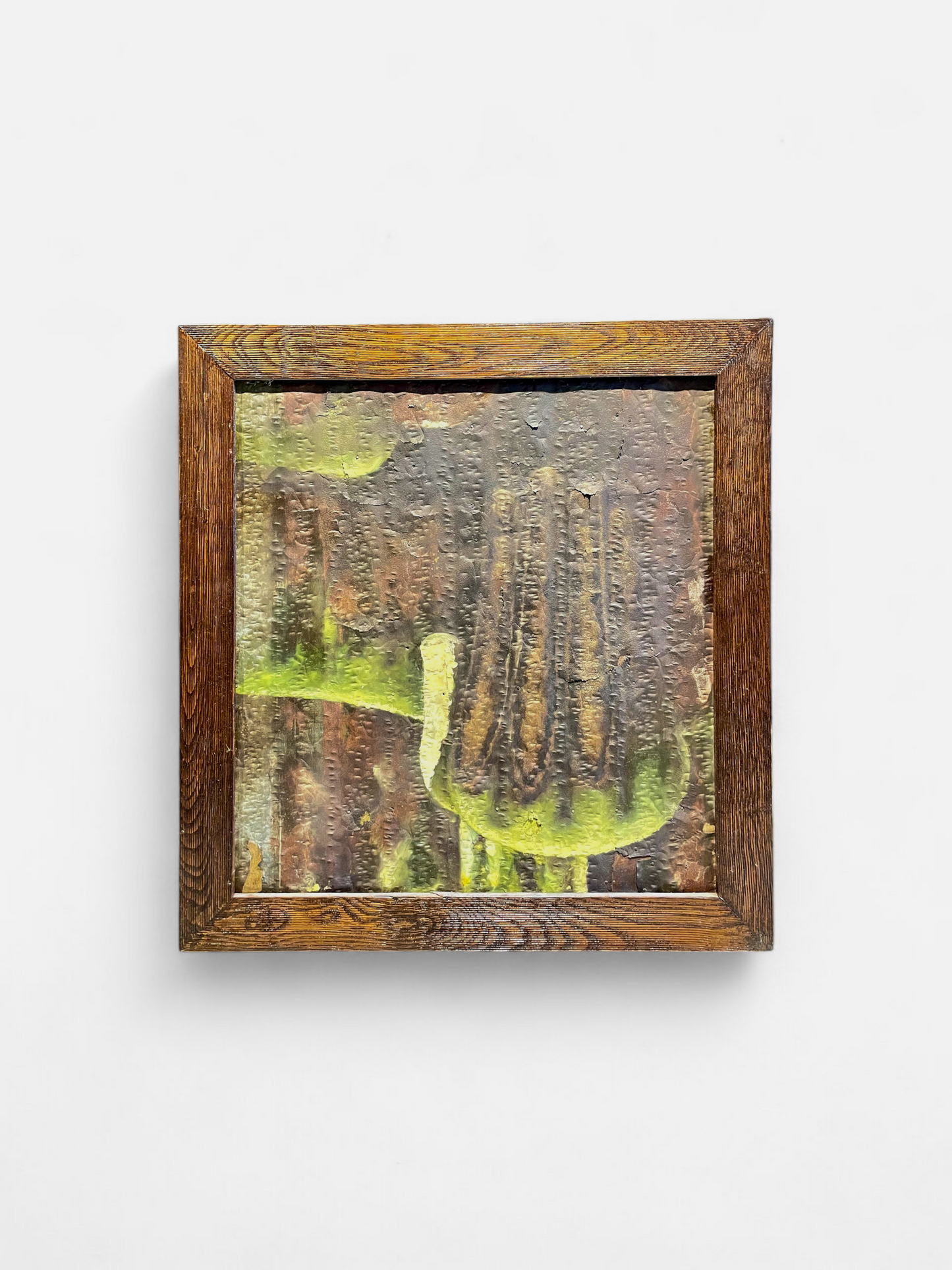 AMAZONICO WALL ARTWORK 35 x 37 IN