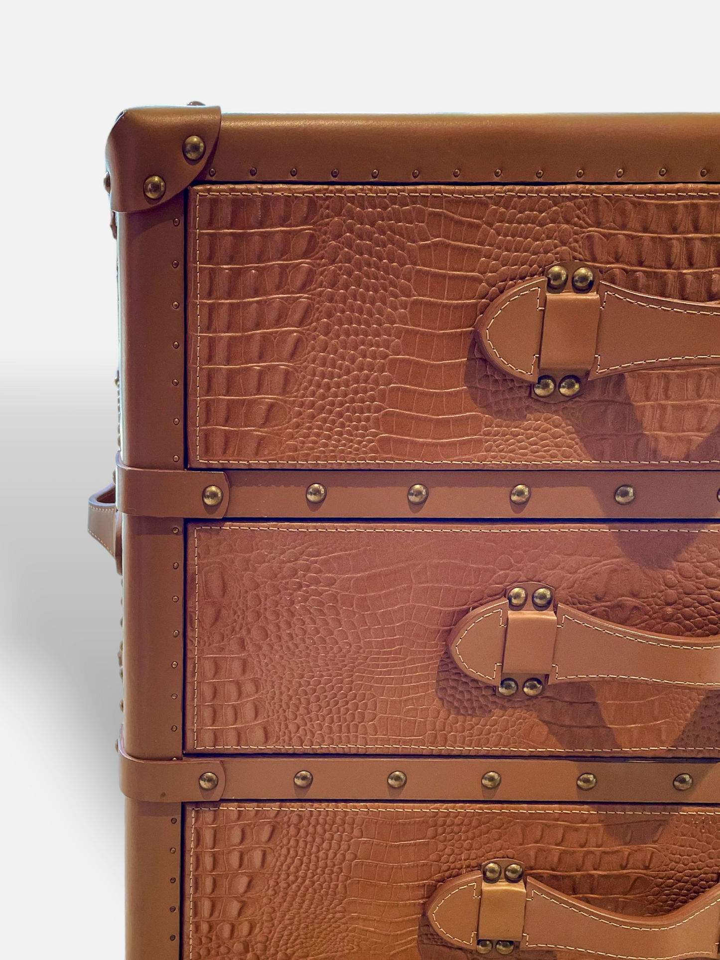 JANE LEATHER TRUNK