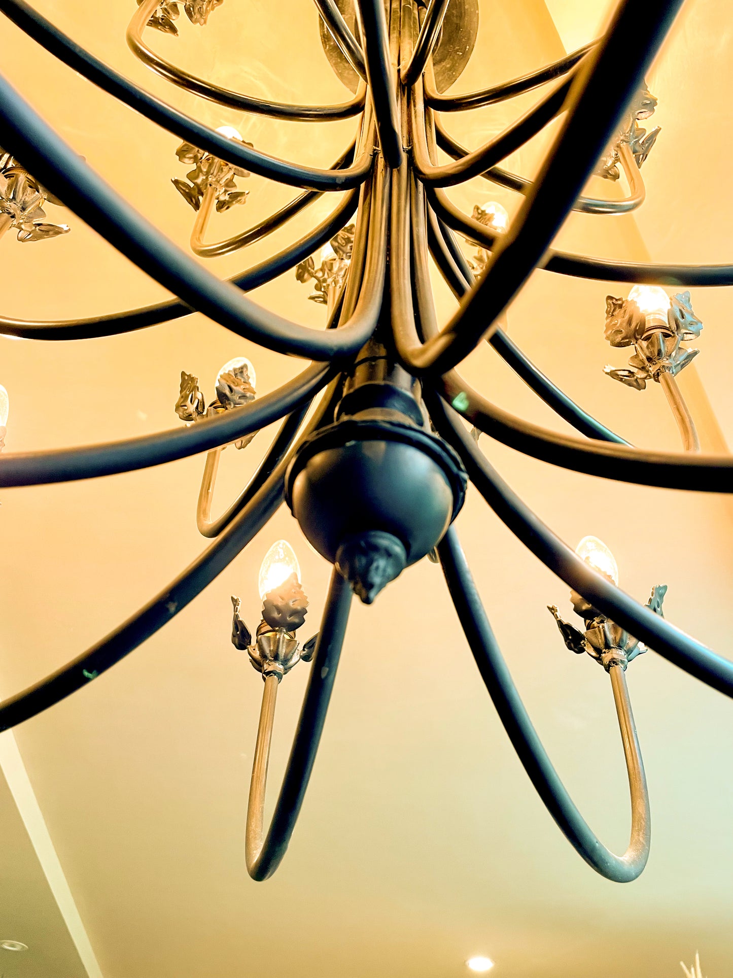 NIRVAAN CHANDELIER (MATT BLACK)