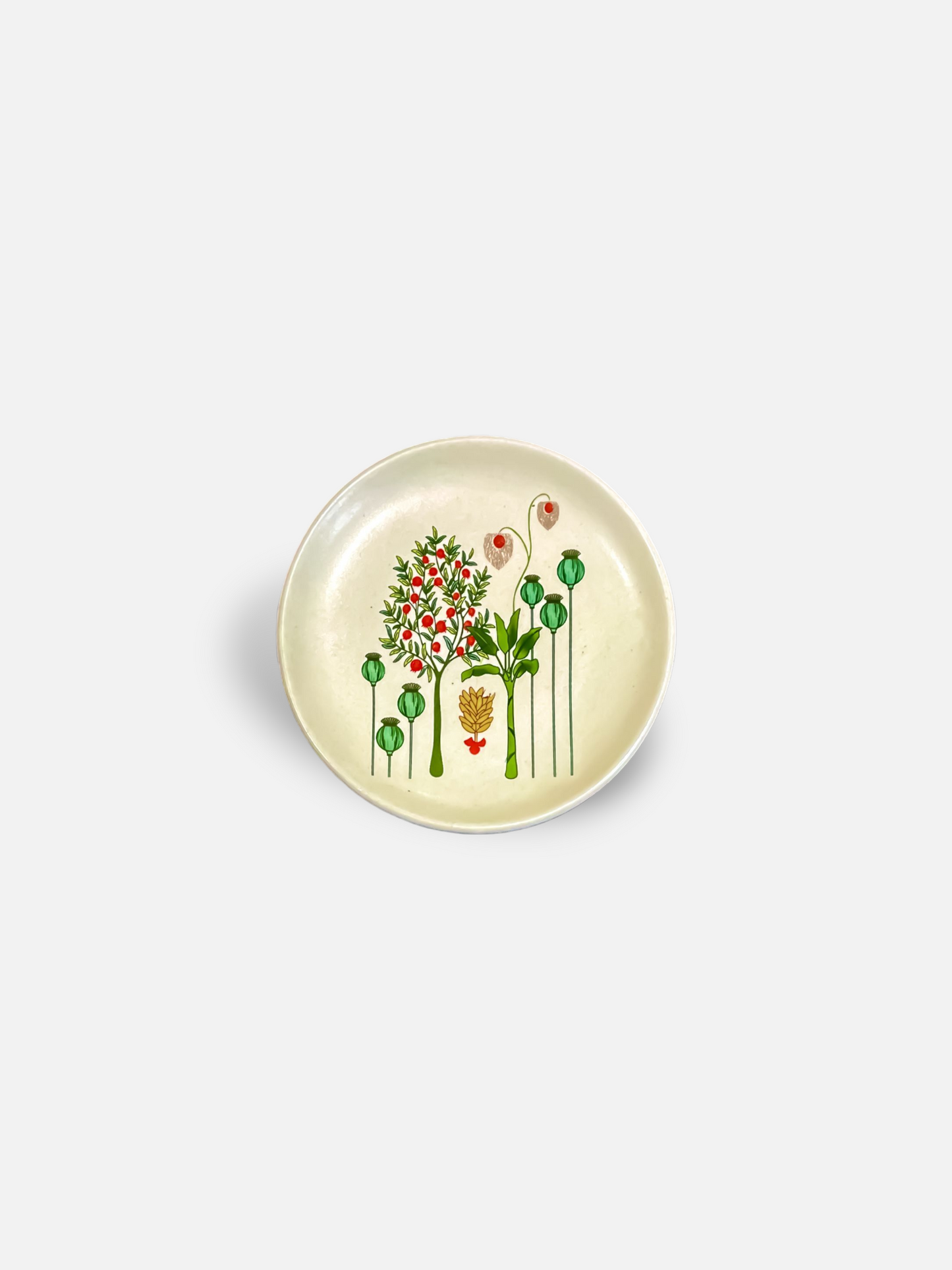 BAGH TAPAS PLATE
