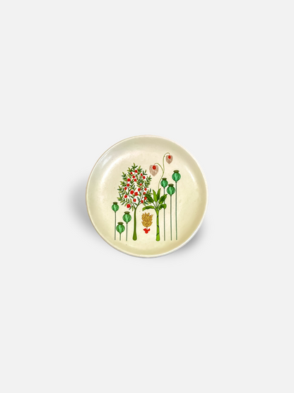 BAGH TAPAS PLATE