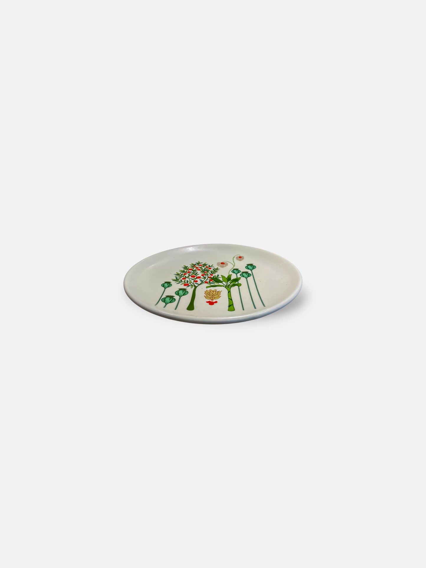 BAGH TAPAS PLATE