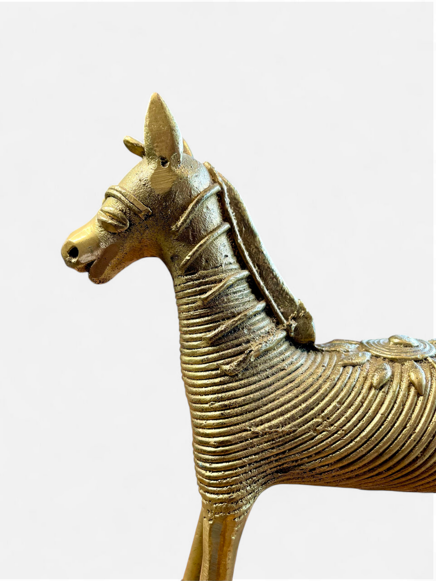 USHNIH HORSE GOLD