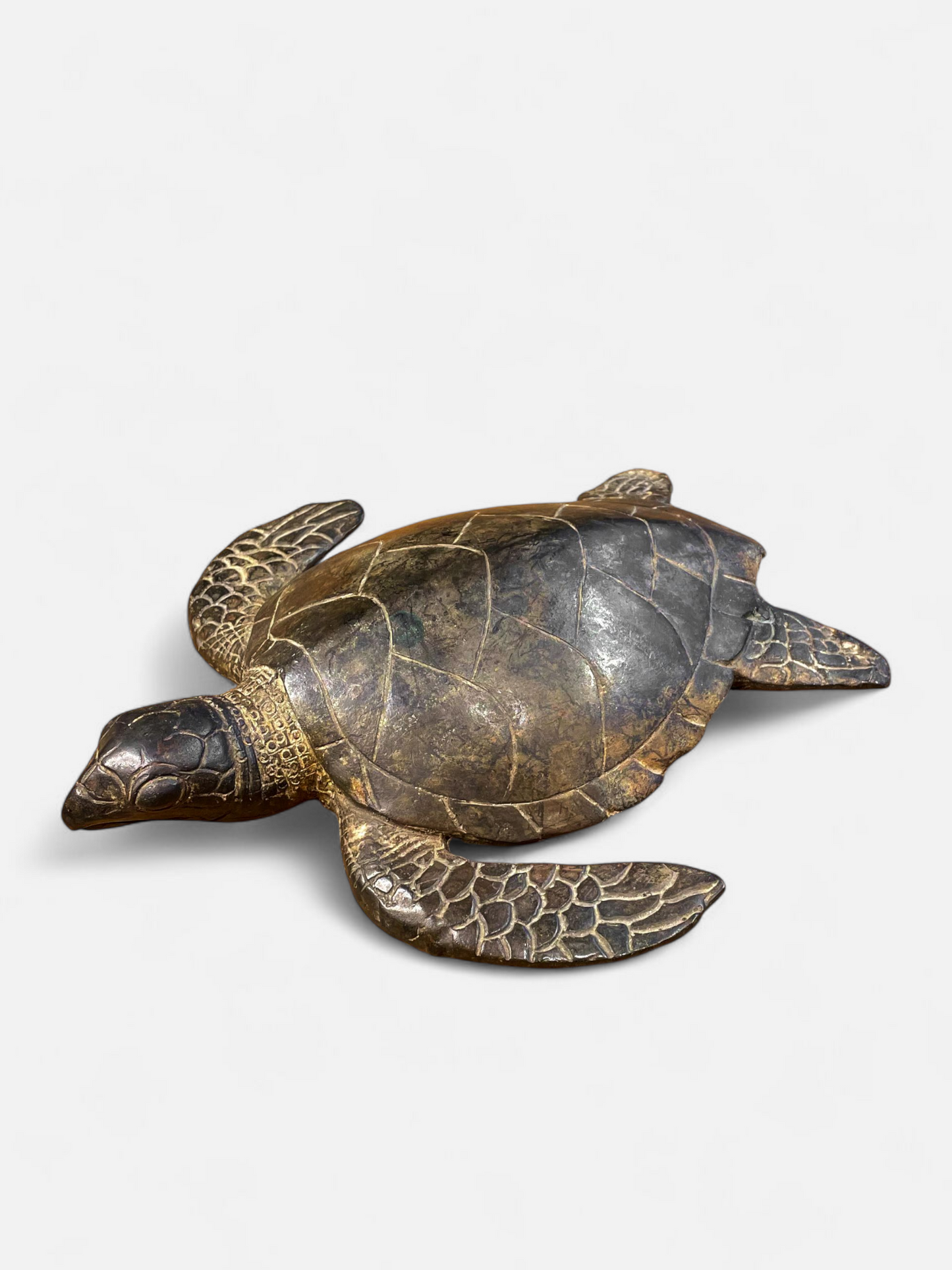 TURTLE ANTIQUE BROWN