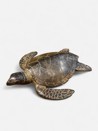 TURTLE ANTIQUE BROWN