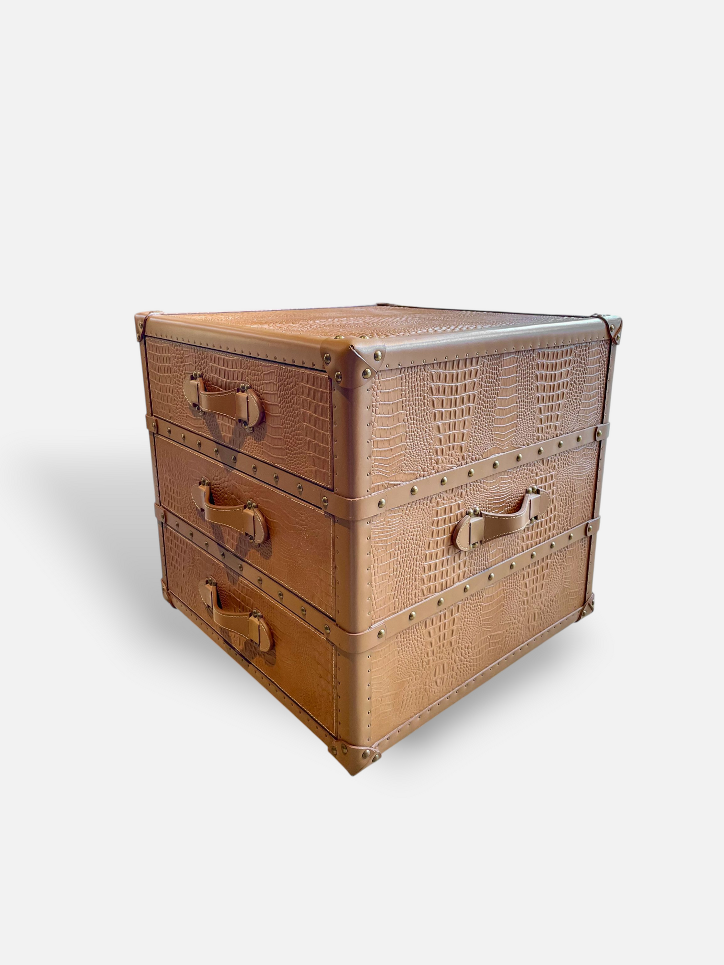 JANE LEATHER TRUNK