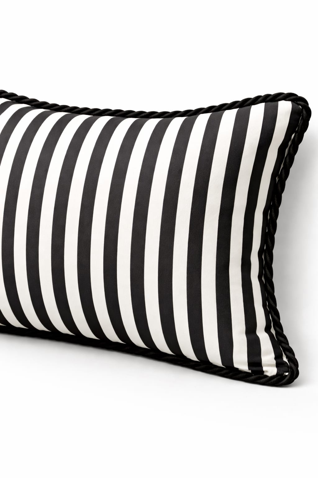 MONOCHROME MUSE CUSHION 24 X 14 IN