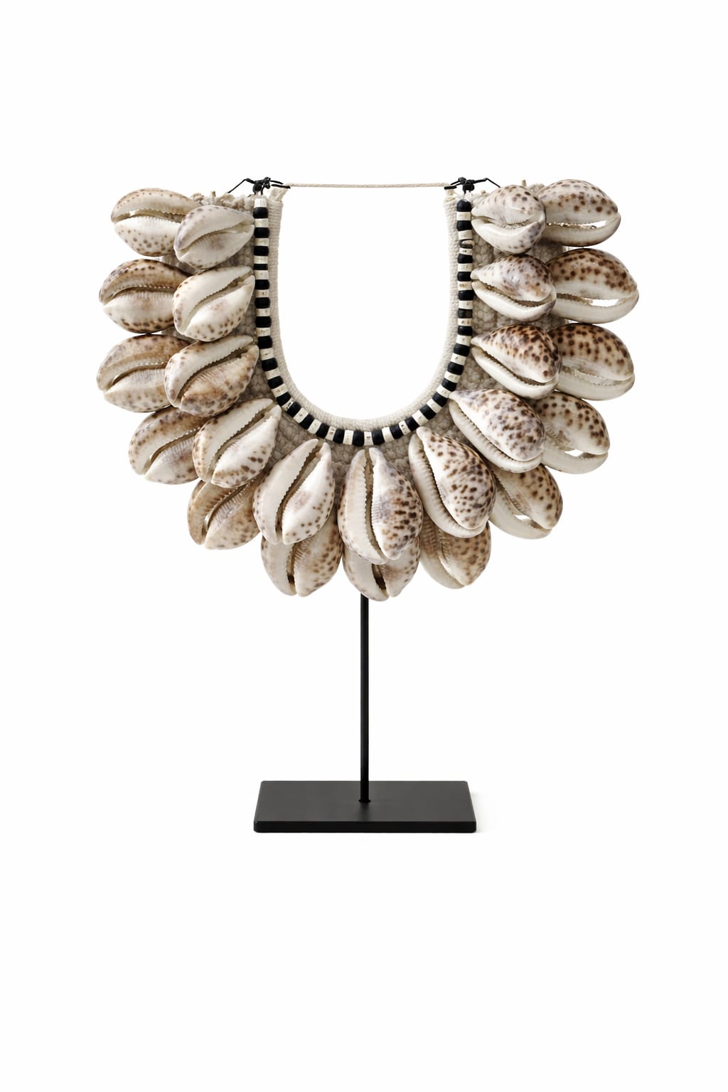 Tribal Shell Crest Large