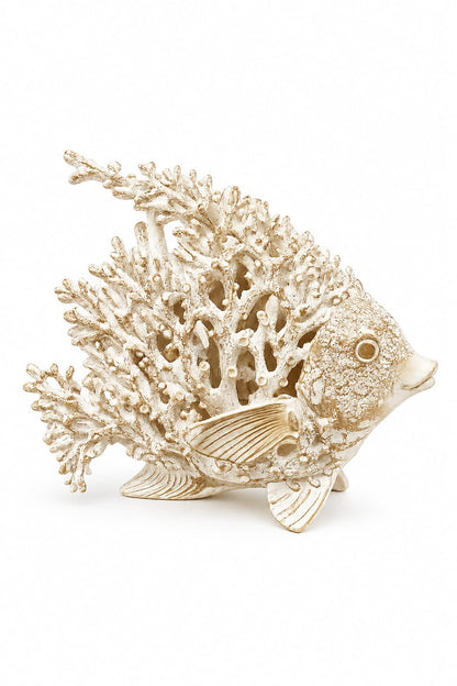 CORAL QUEEN FISH