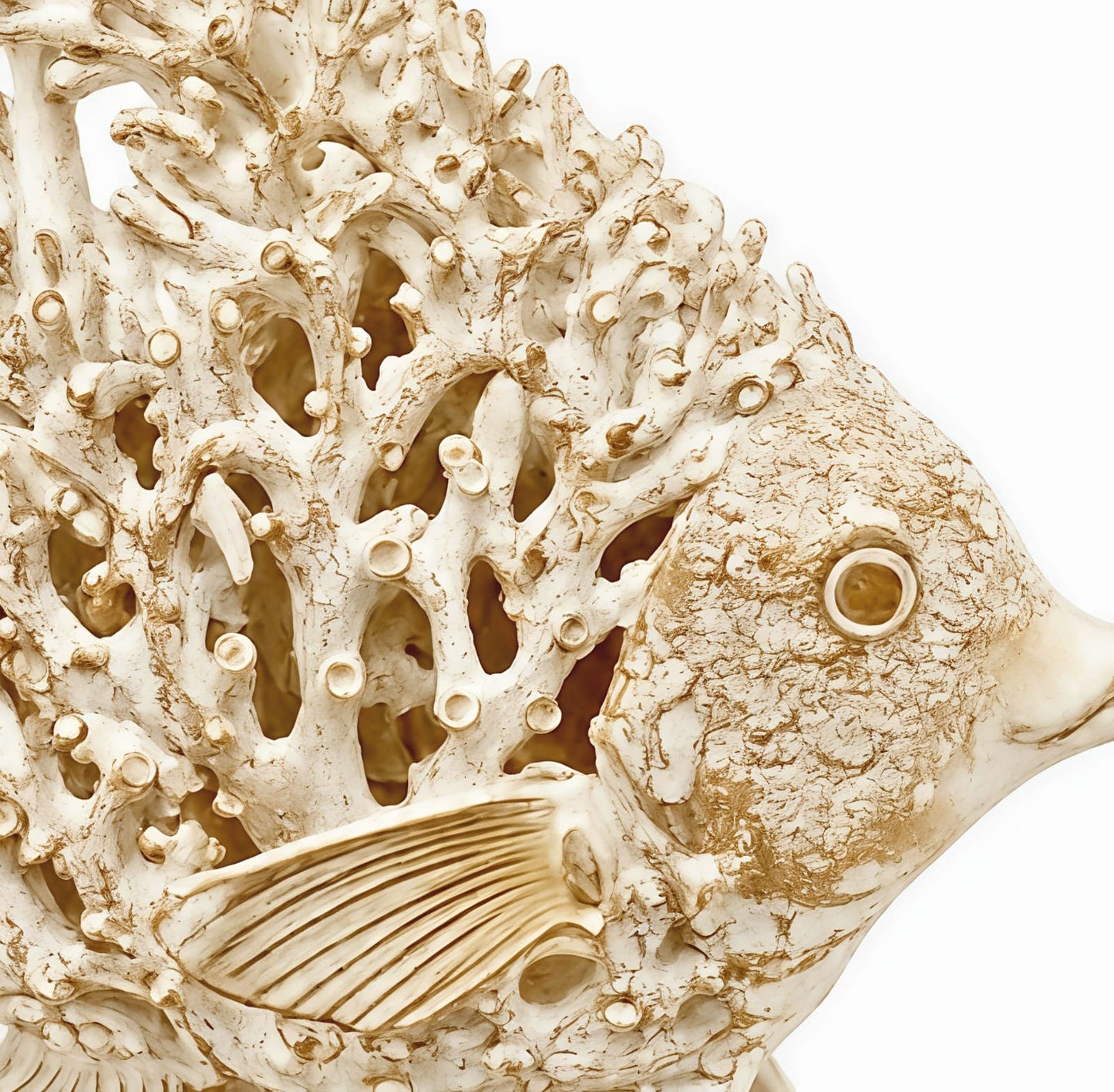 CORAL QUEEN FISH